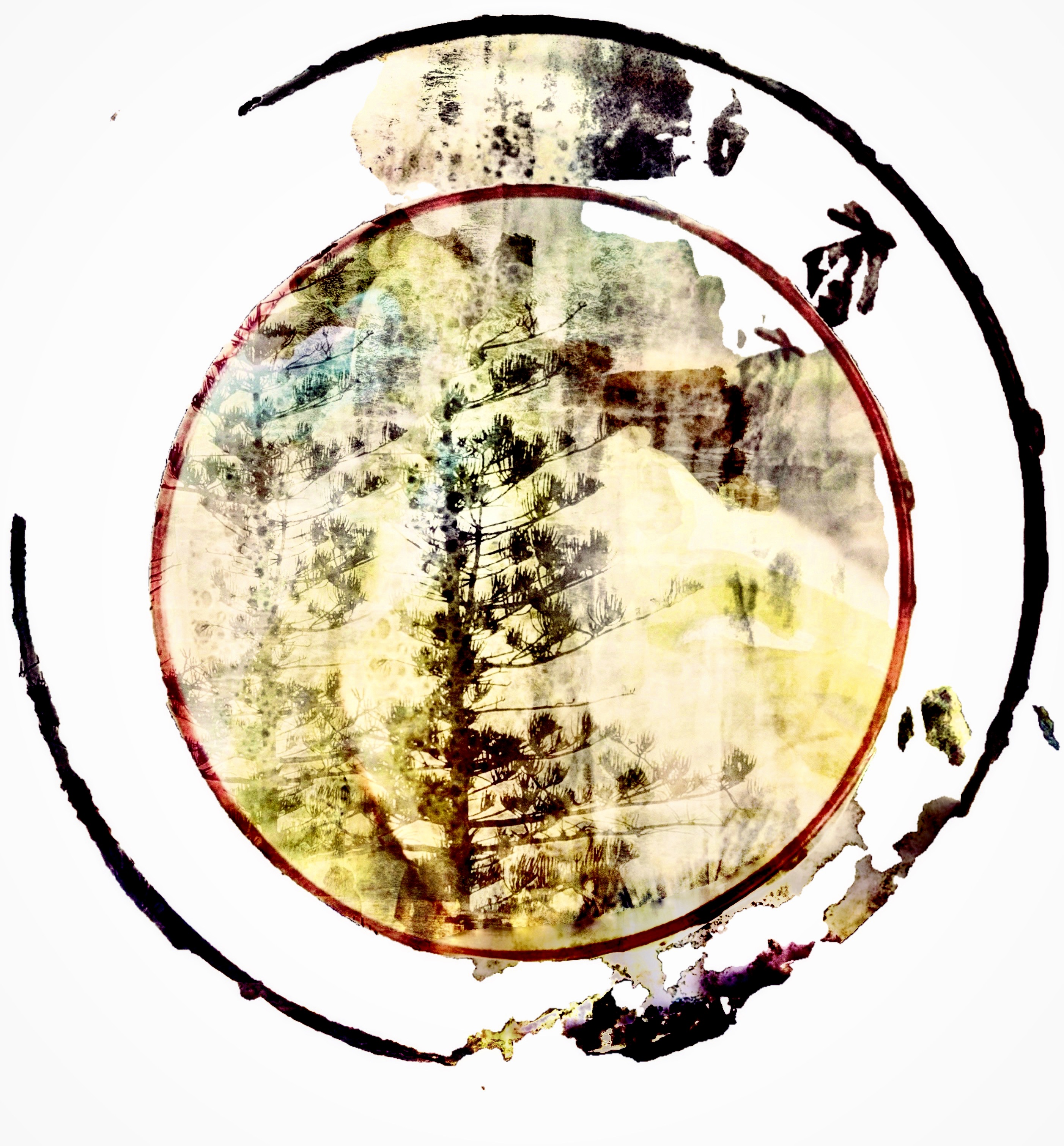 Bosanquetphotography.com